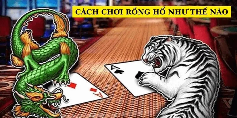 Chiến thuật và mẹo chơi rồng hổ nâng cao giúp thắng lớn