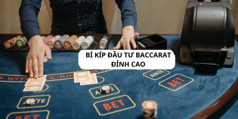 Đầu tư Baccarat – Xu hướng mới trong thị trường game trực tuyến